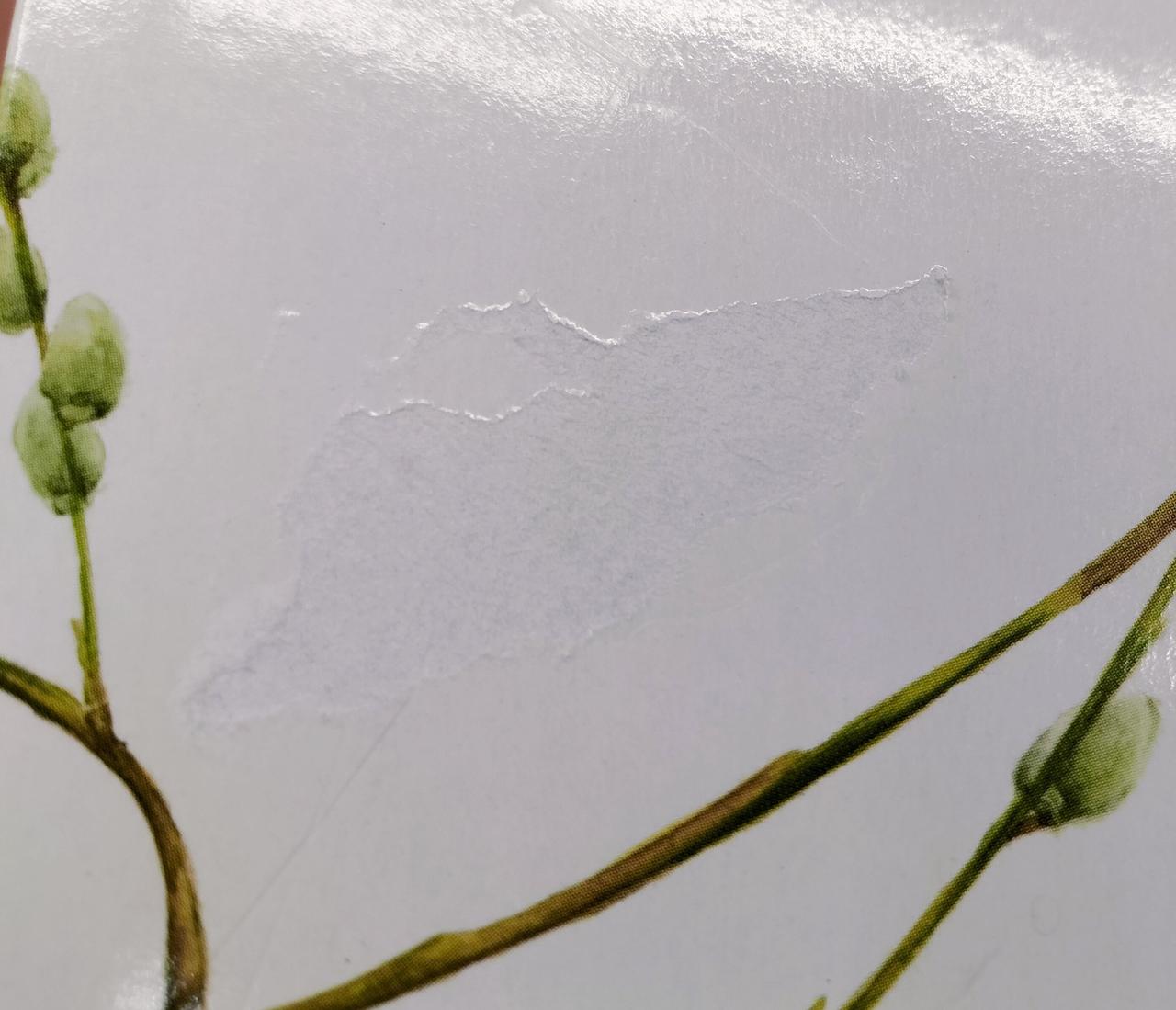 箱の上蓋、破れあります