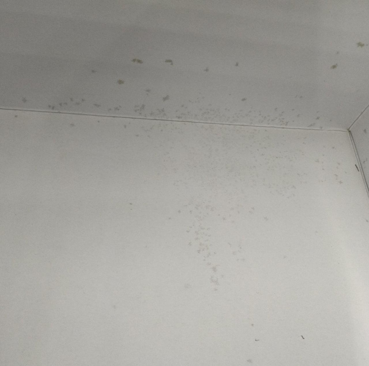 箱の中にカビあります