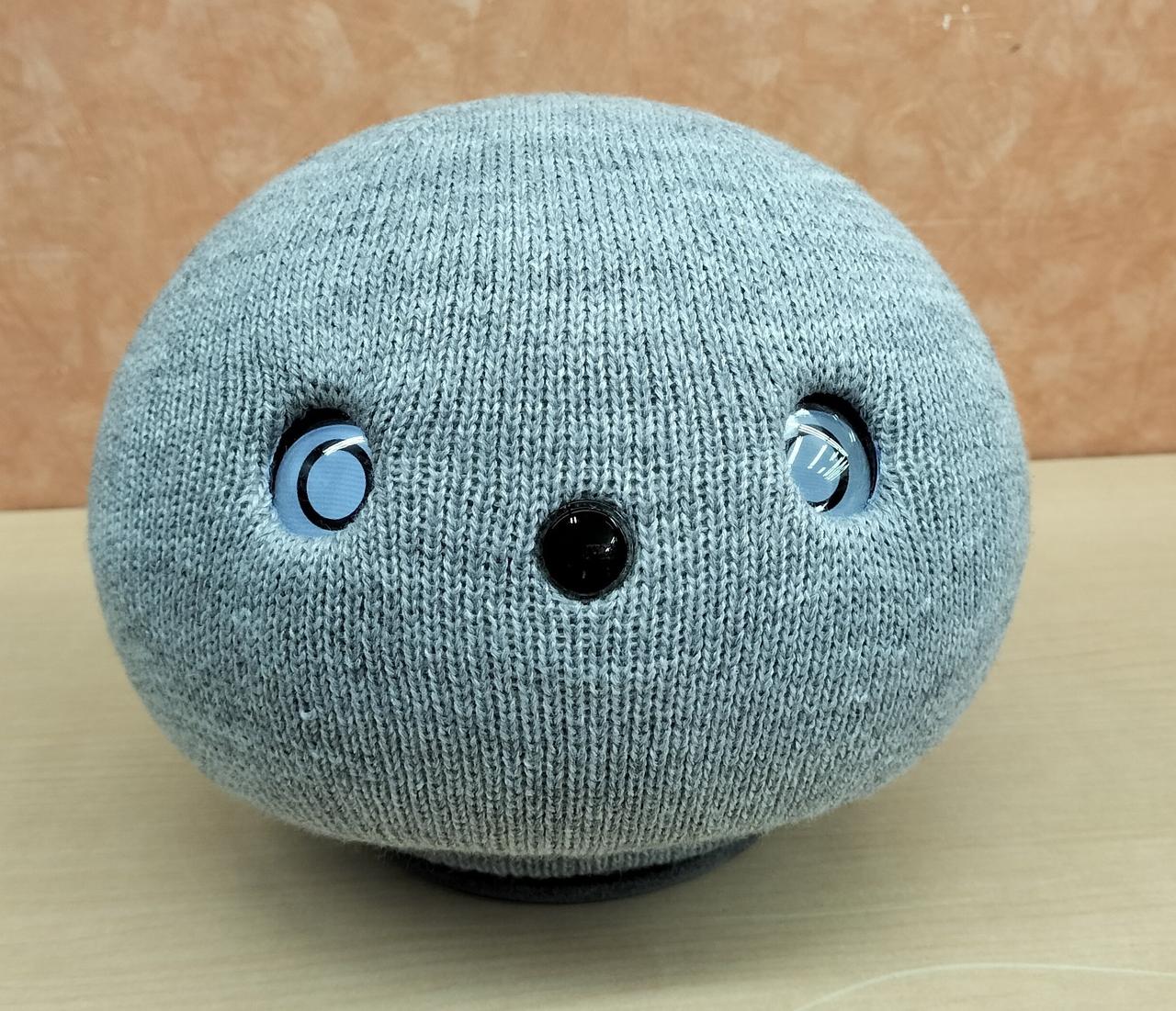 電源入りました。鼻がカメラになってます