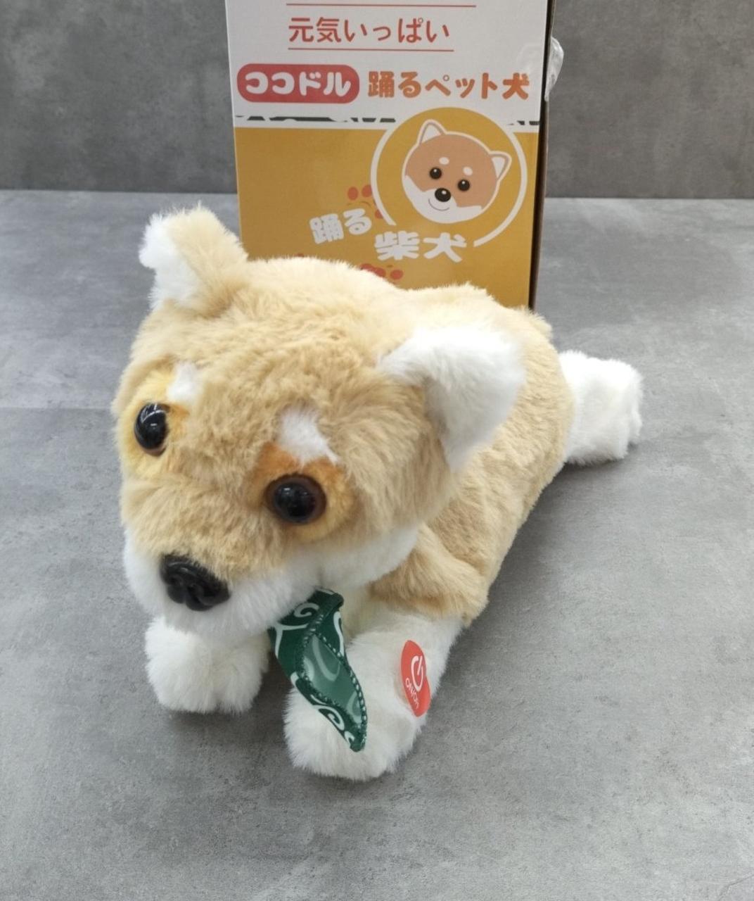 ココドル 踊るペット犬 ブロードウォッチ|ココドル 踊るペット犬|HARDOFFオフモール