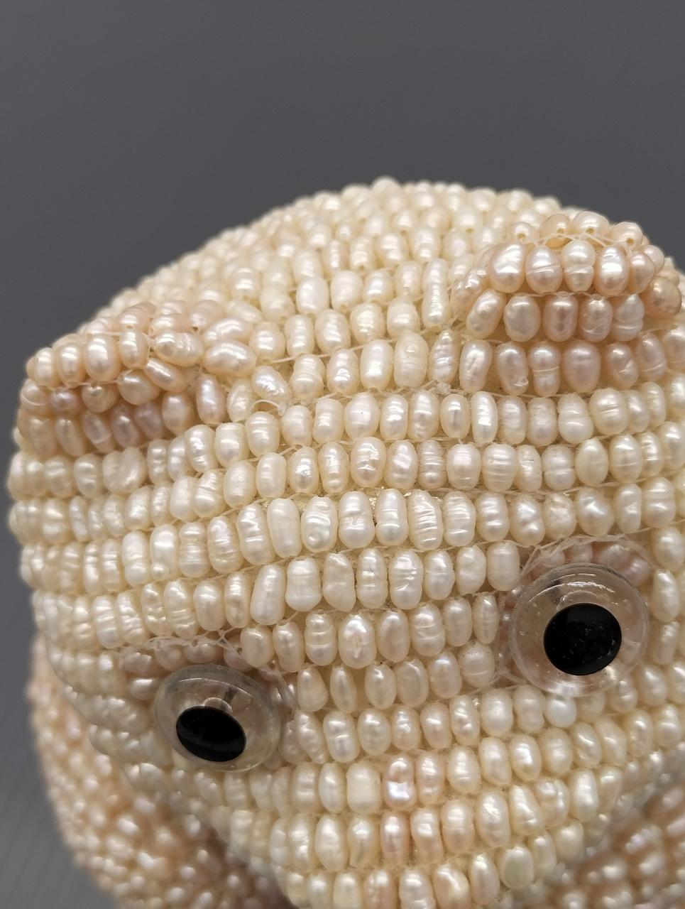 耳の色は薄いピンクです