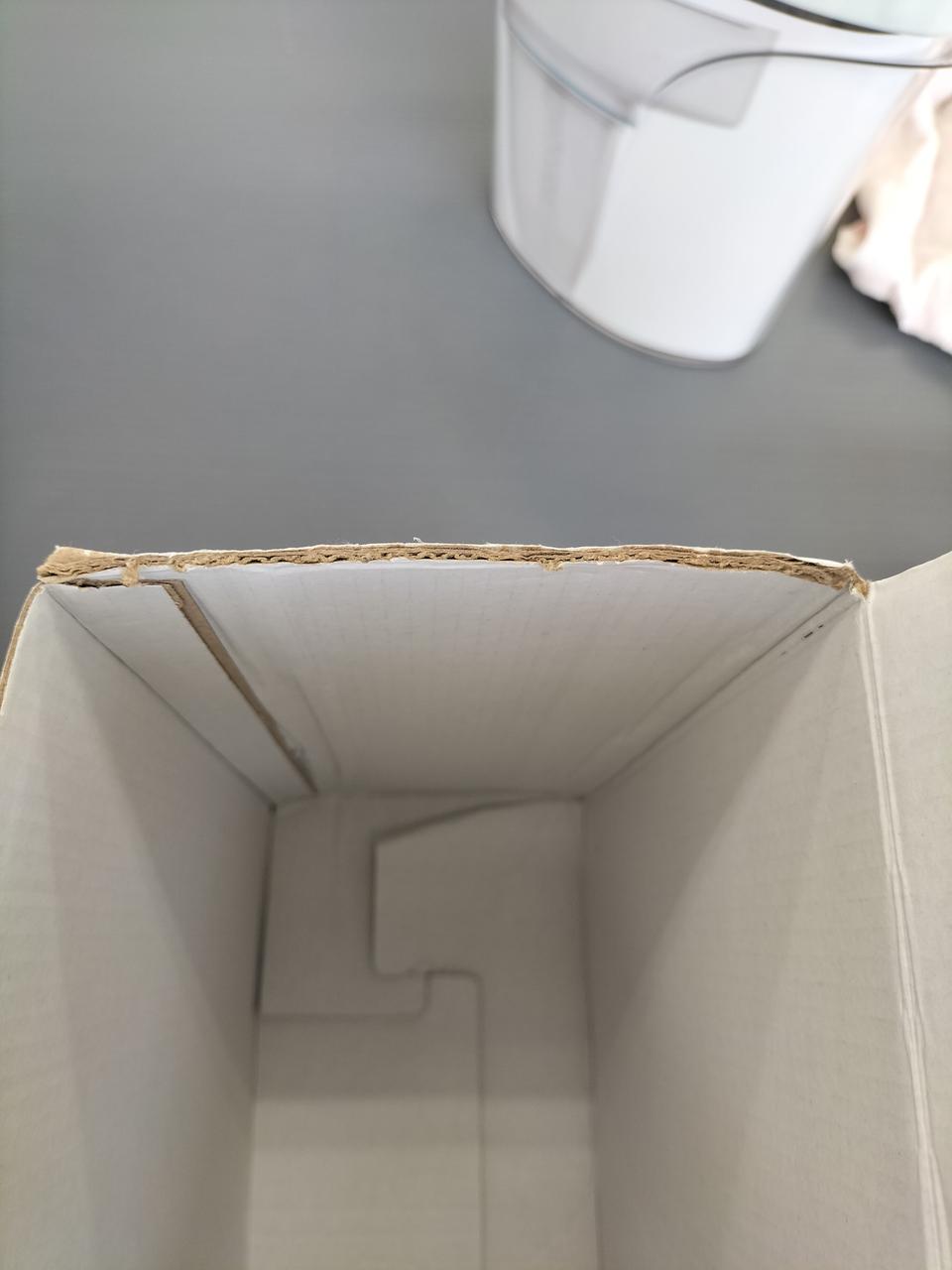 ツメ欠損箇所②