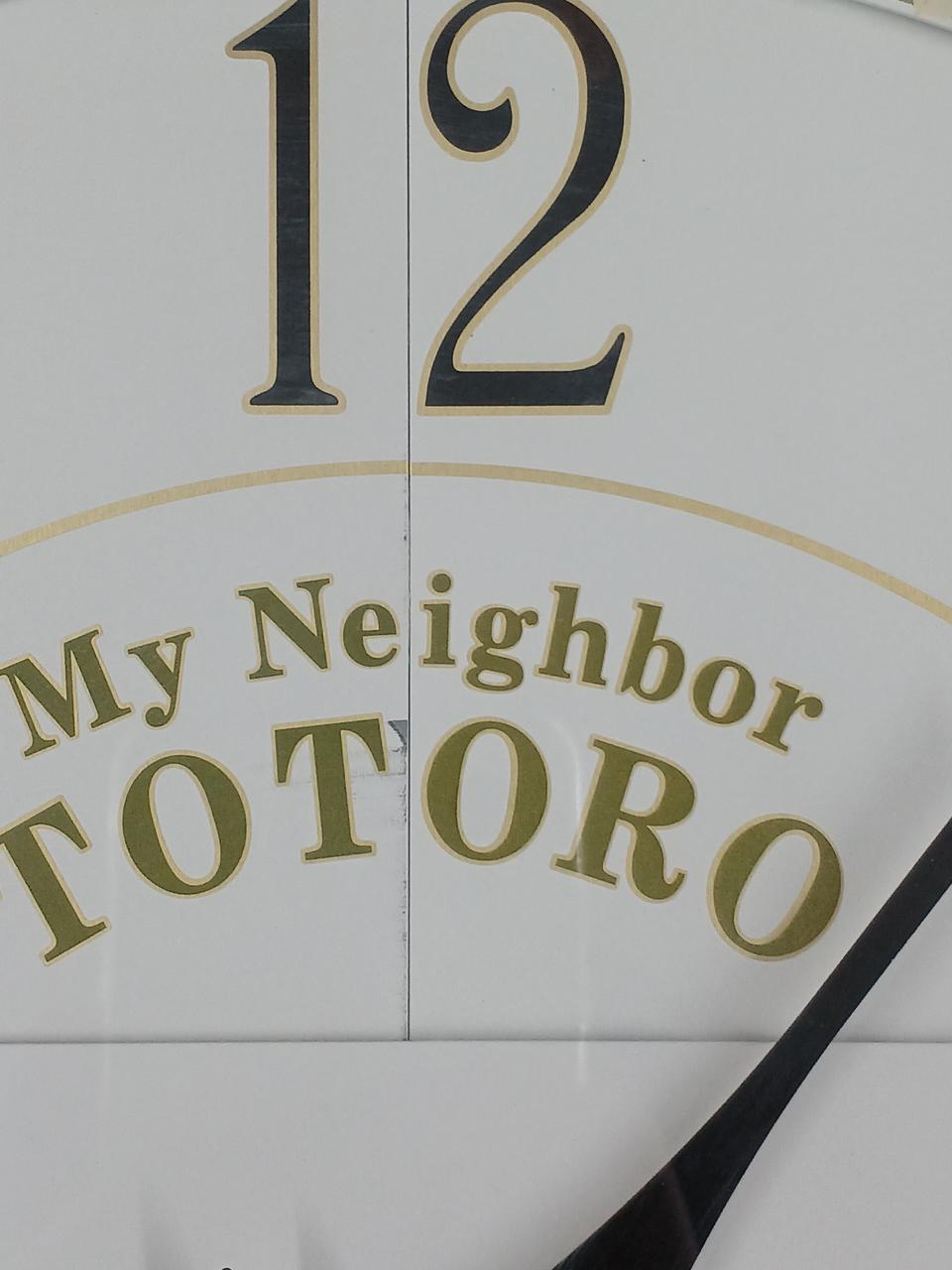 開閉時に付いた傷、剥がれがあります