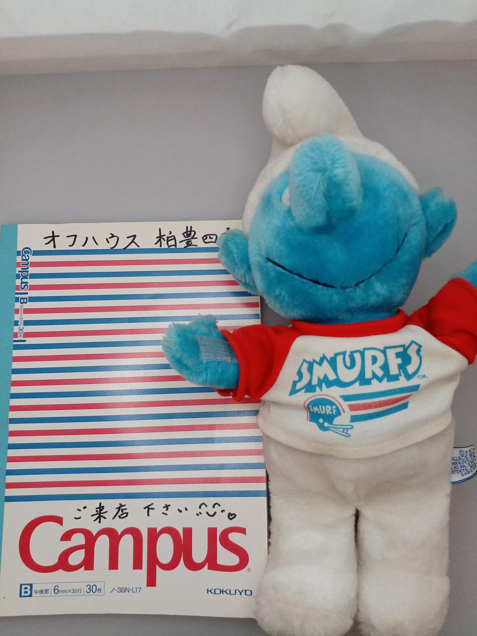 キャンパスノートと比較するとこのくらい