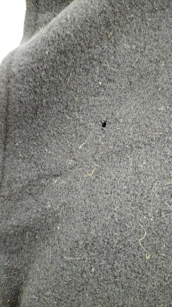 虫食い跡あり