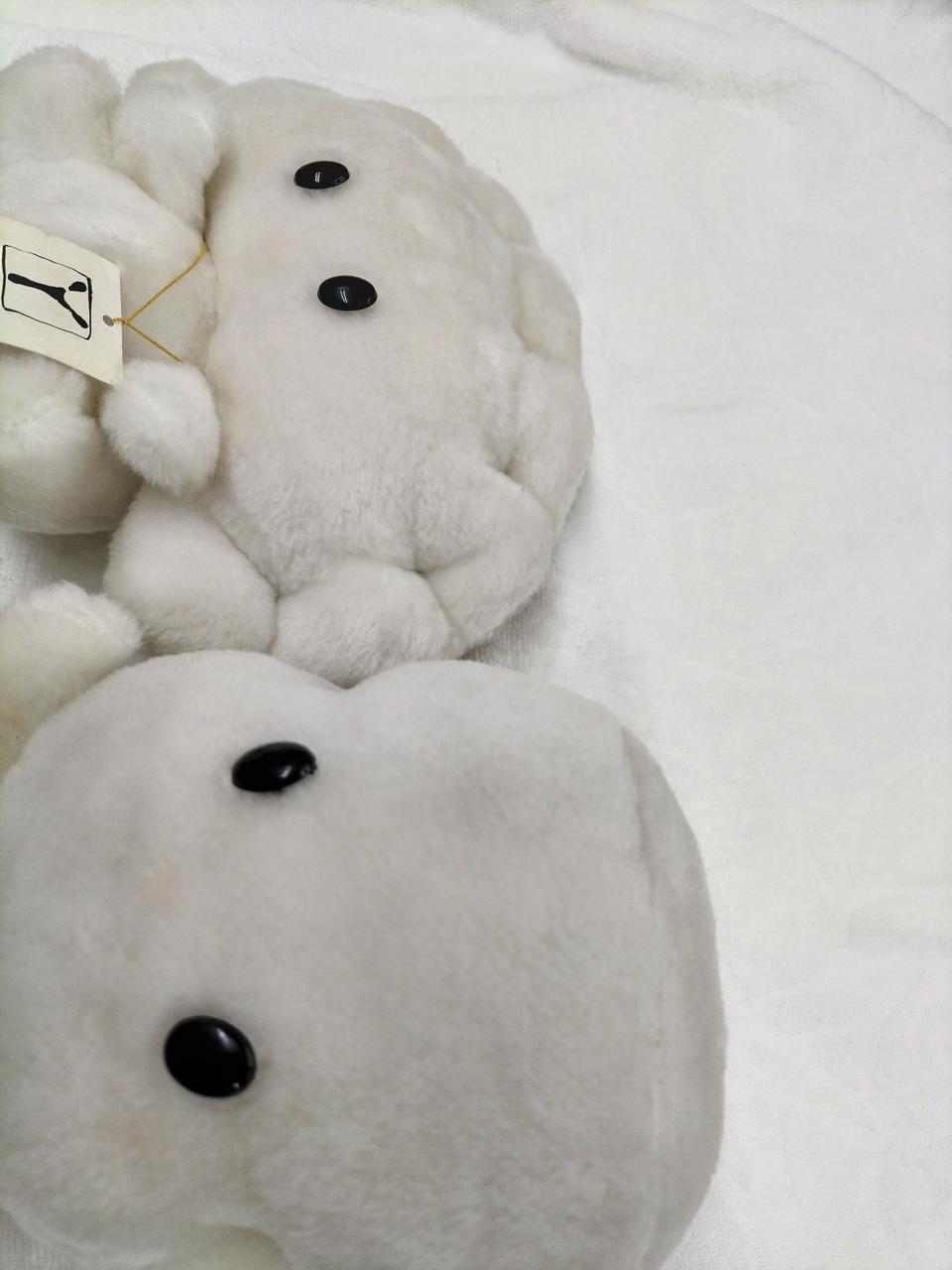 若干表面が黒く、真っ白ではないです。