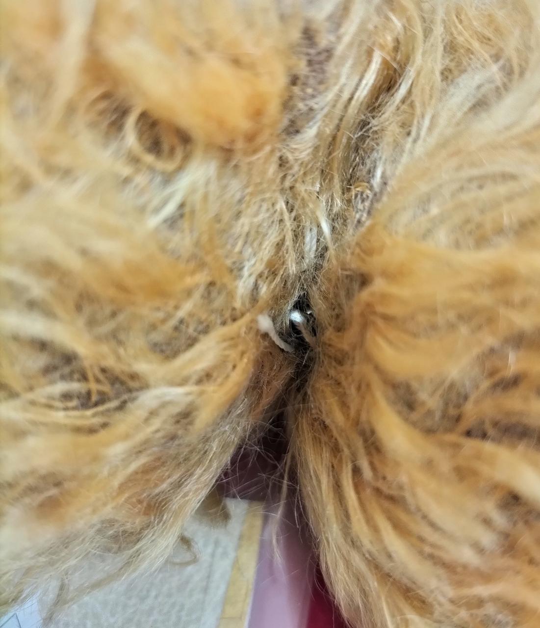 首と胴体の接続部