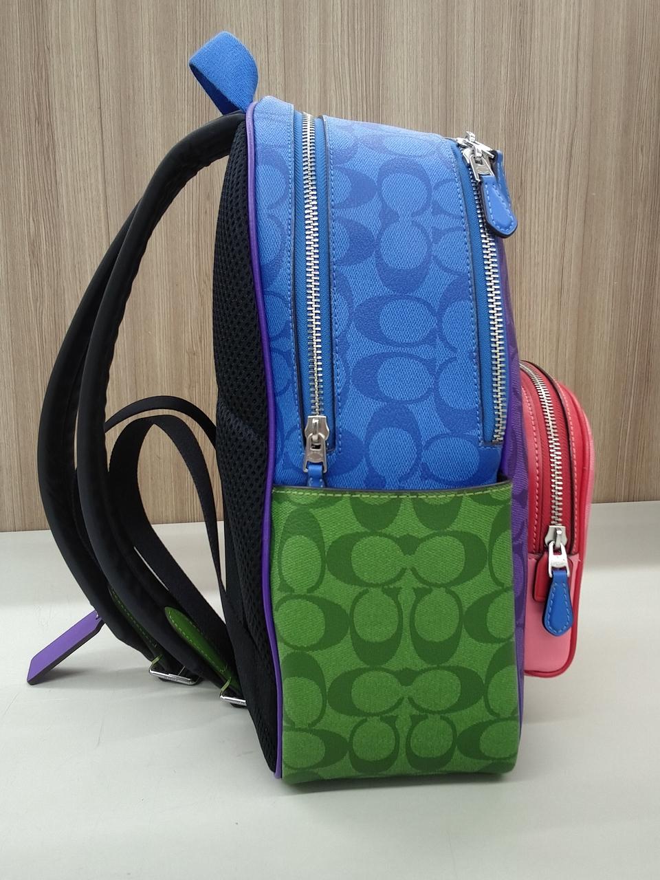 7/31まで【COACH】定価約15万！美品！バックパック COACH】コーチ メンズ バックパック レザー ハドソン ラージ