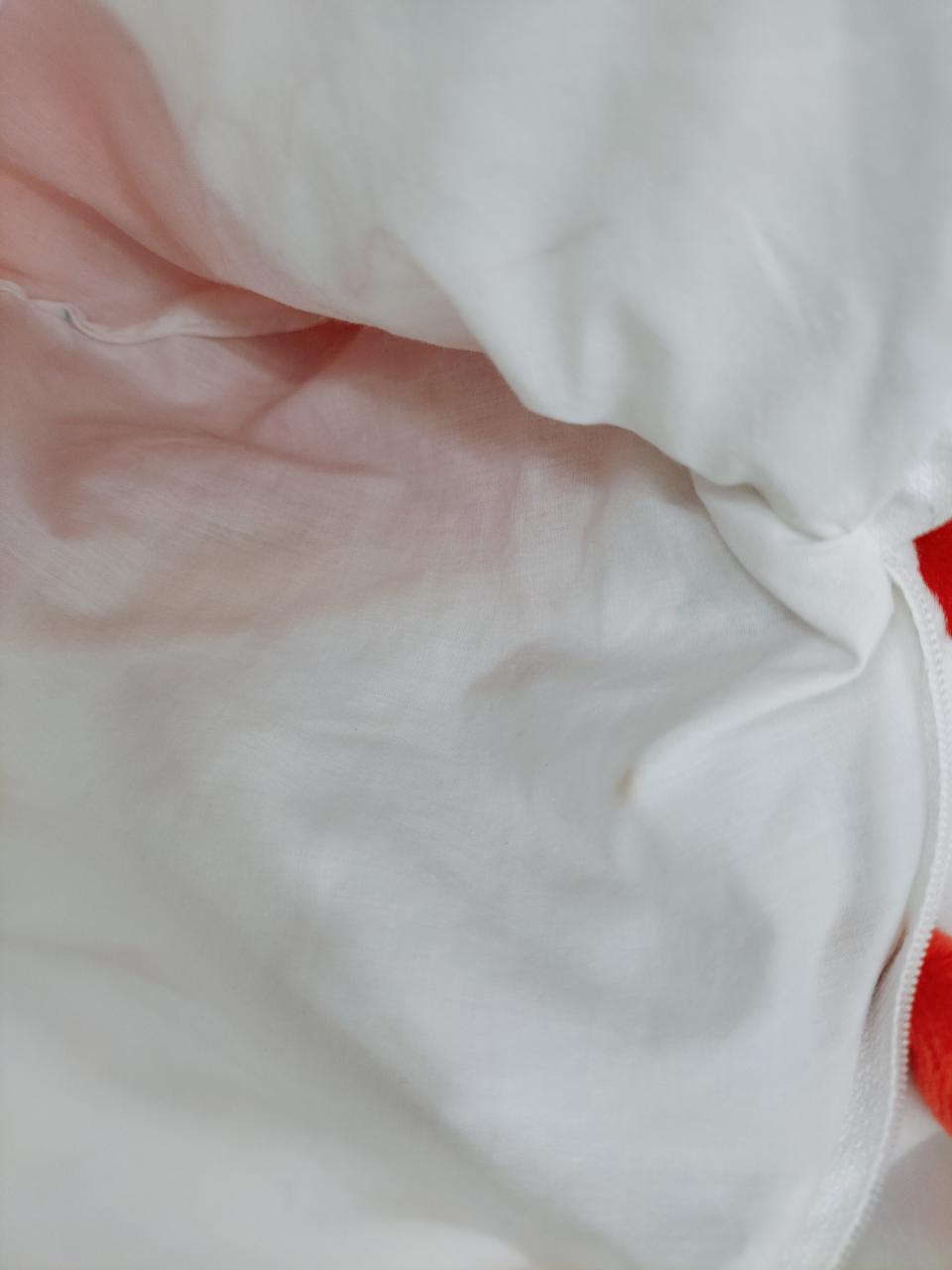 內部に染み有り