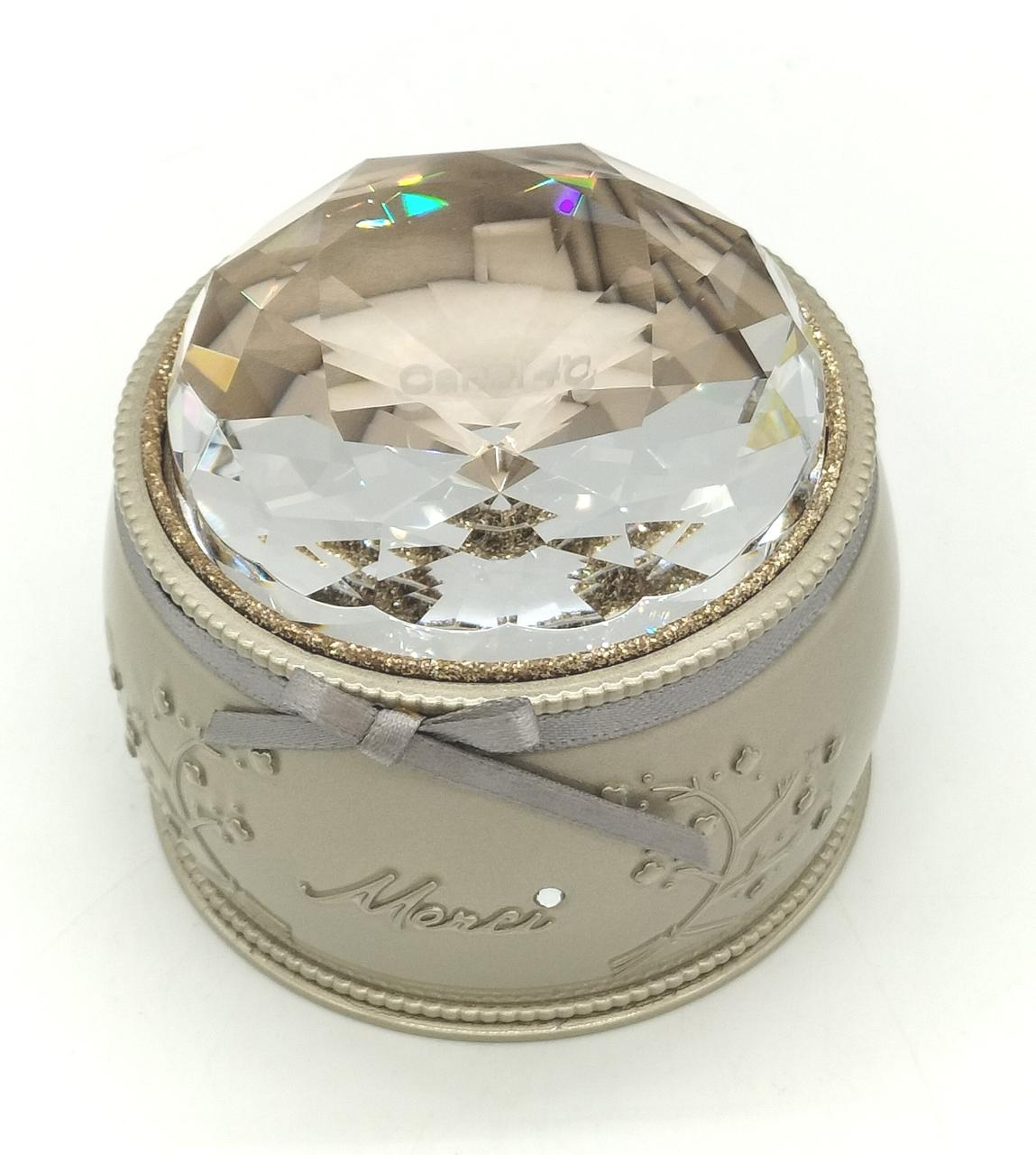 ケース付きです。