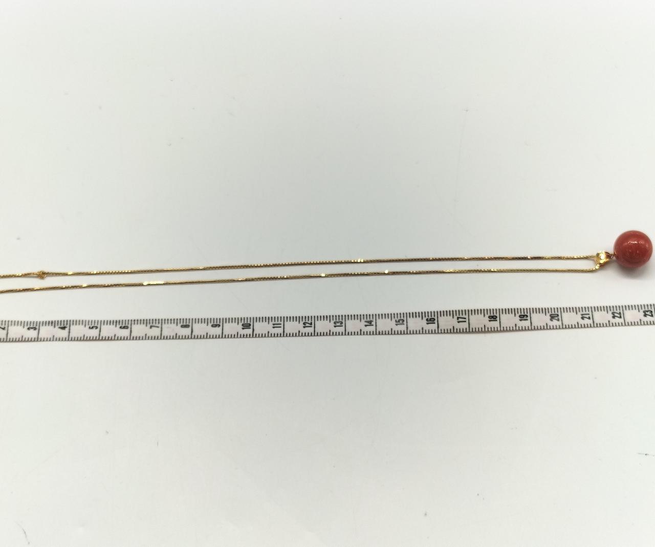 全長約23cm