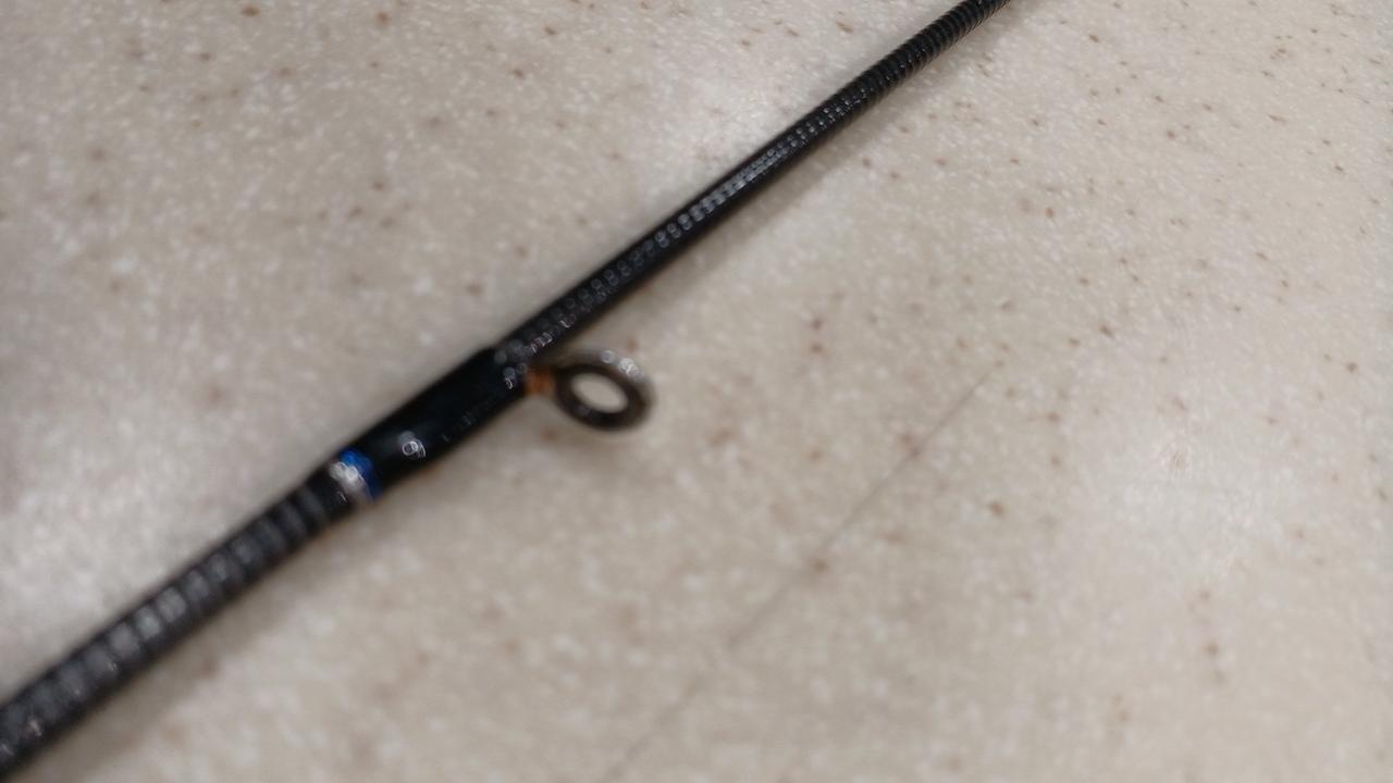 シーバスセット 楽天市場】【ふるさと納税】 【選べる号数・個数】 よつあみ PE