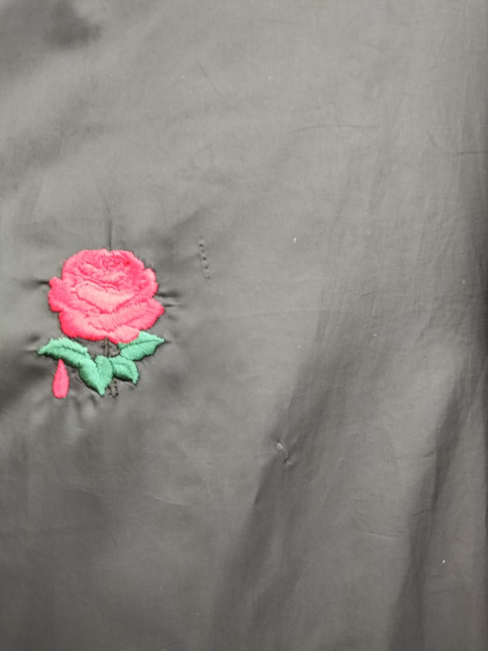 引っかき傷らしきものあり