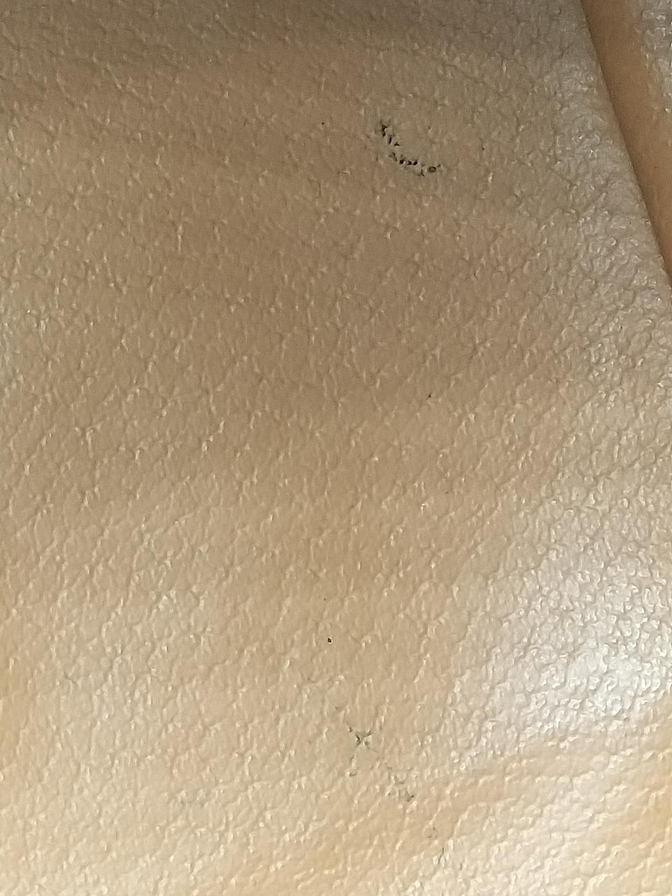 内側底面汚れあり