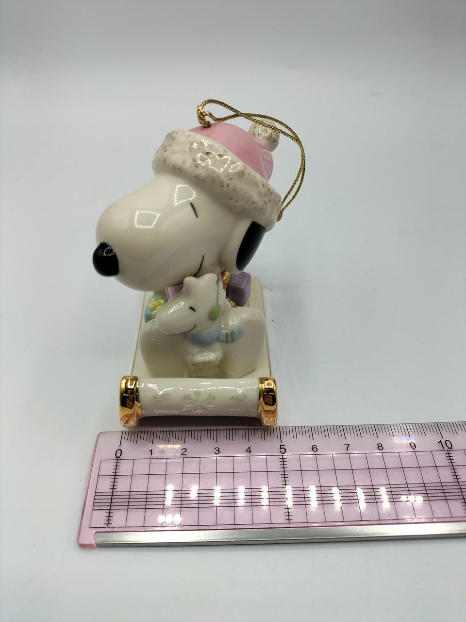 約5cm