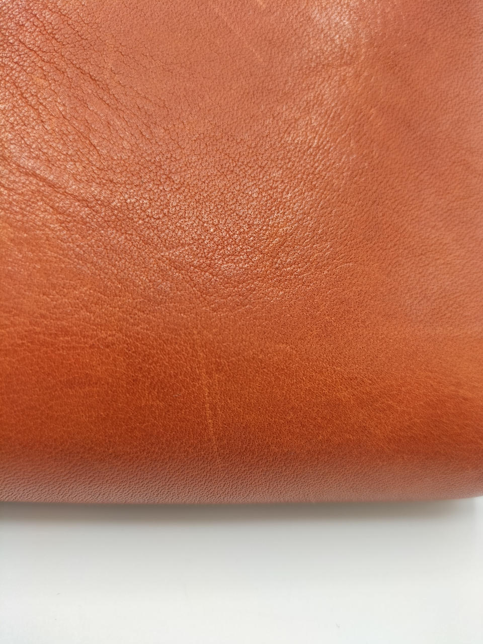 爪による傷多数あり