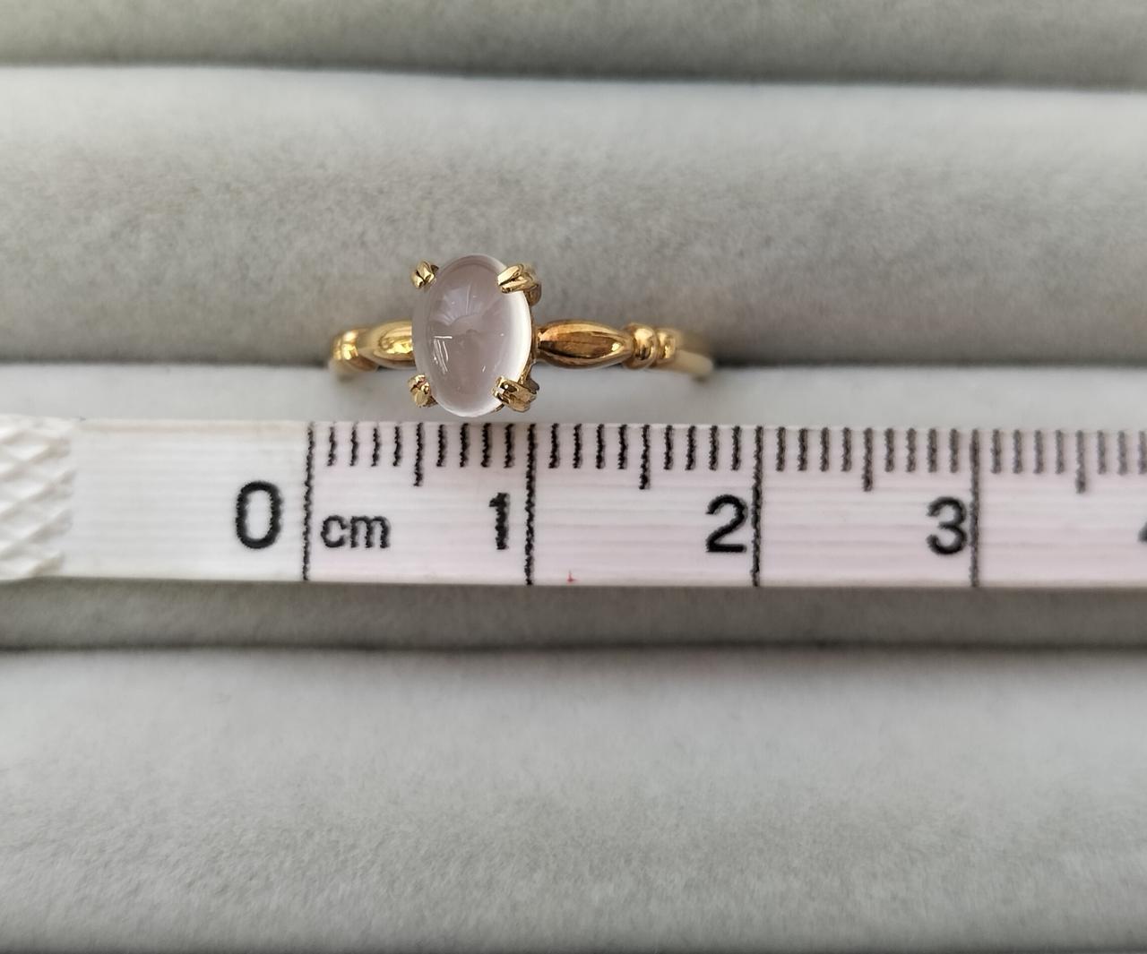 サイズ感の参考になさってください