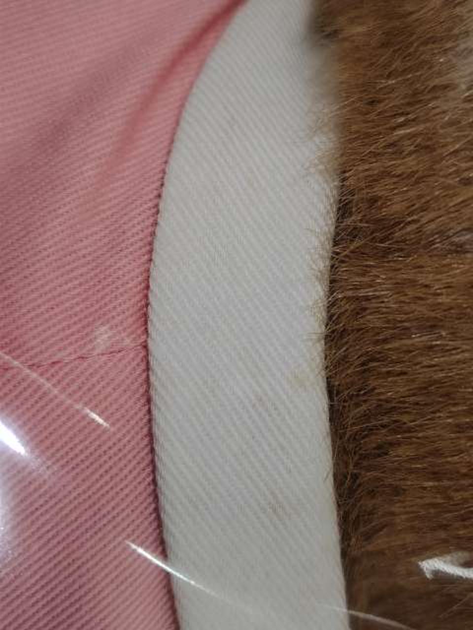 シミ有ります