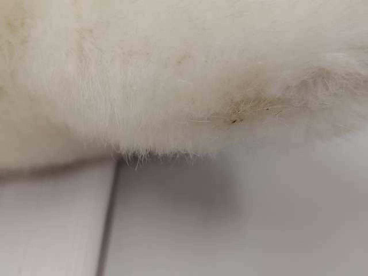 汚れあり