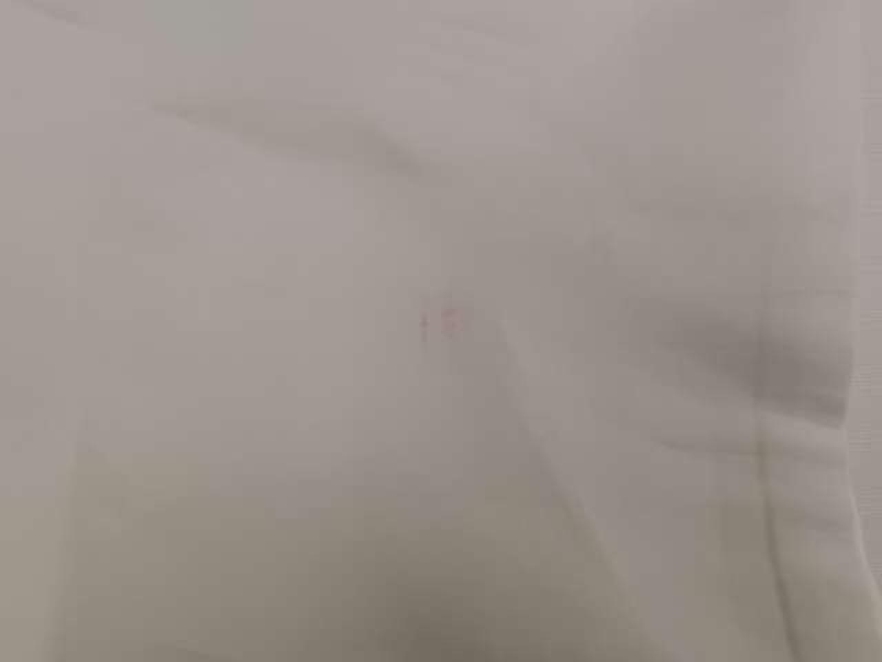 保護袋シミあり