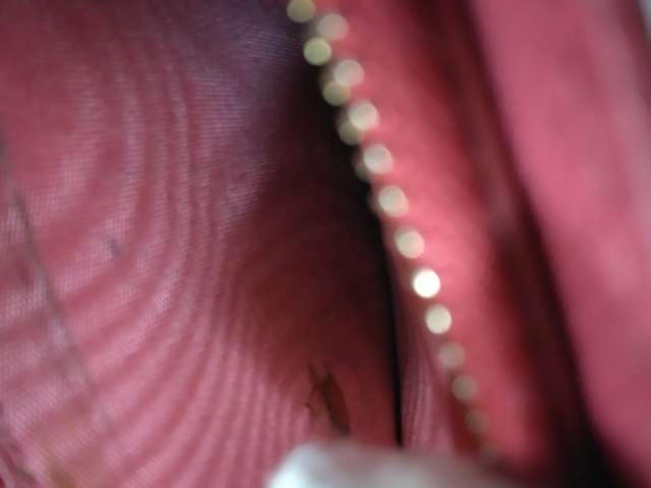 小銭入れ内側汚れ有