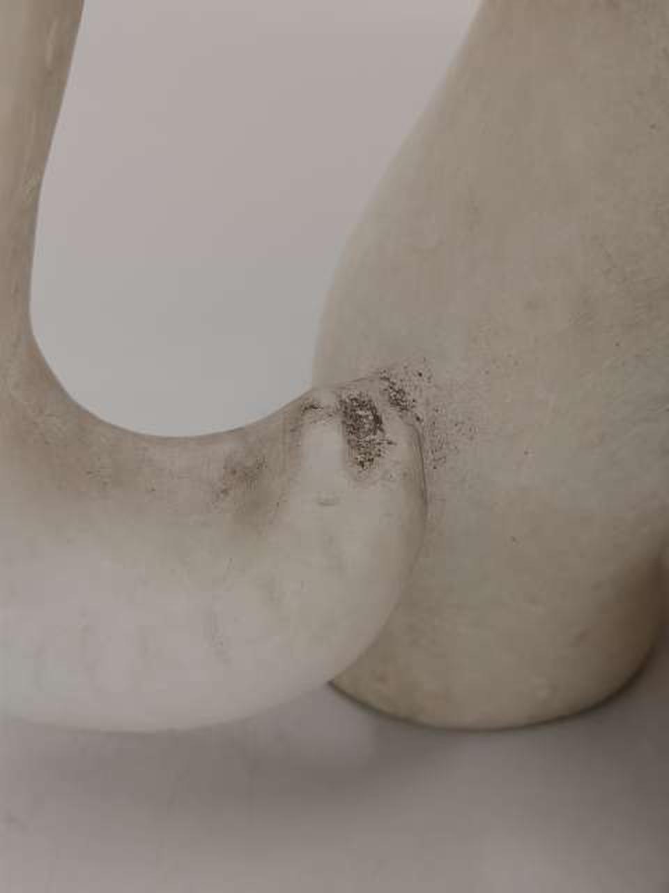 鼻先汚れあり