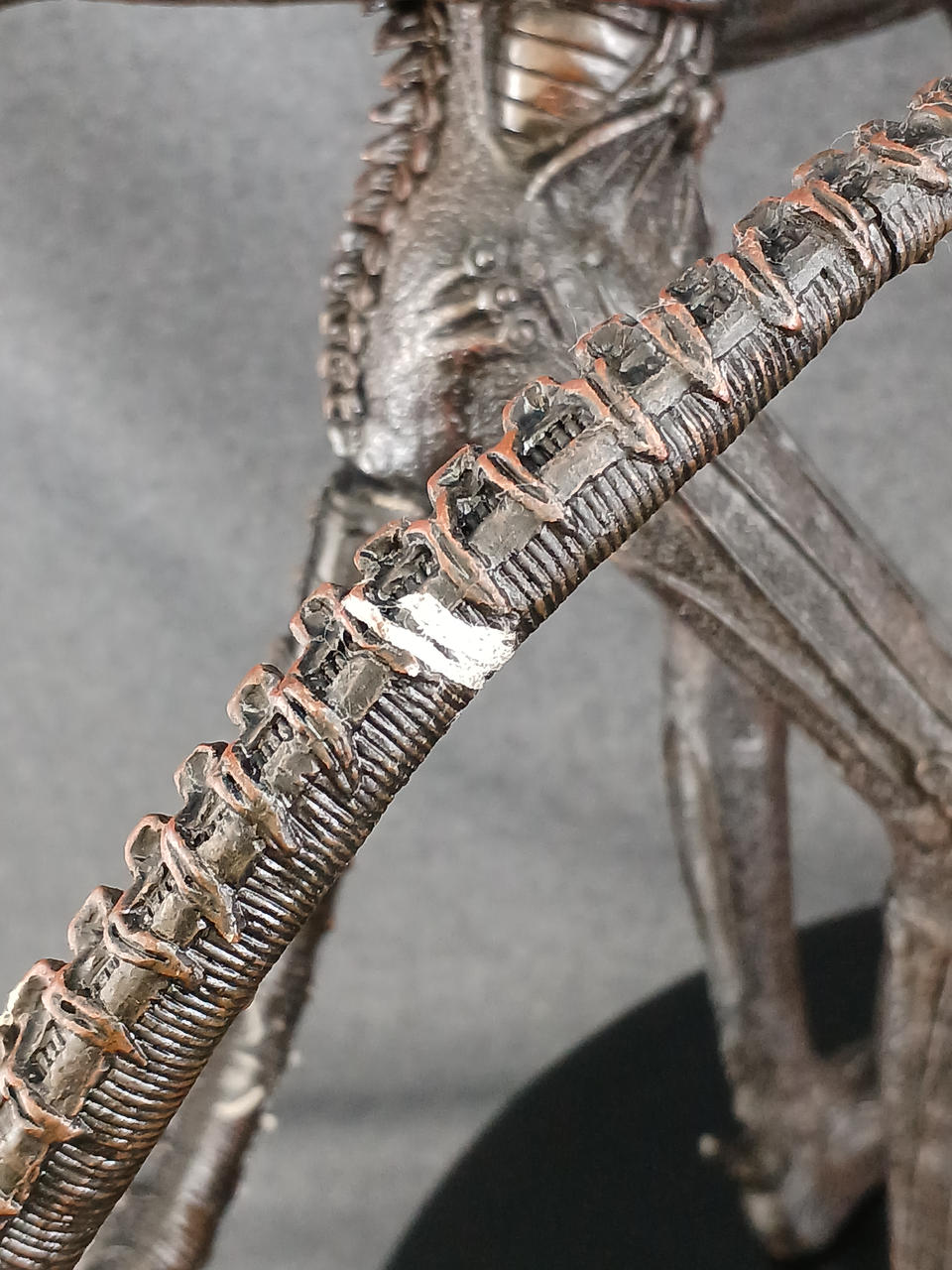 本体尻尾に汚れ付着あり