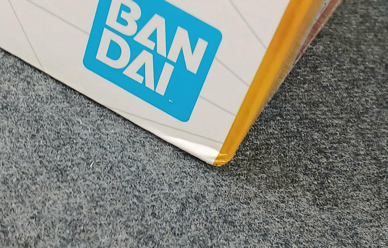 ダメージ少々あり