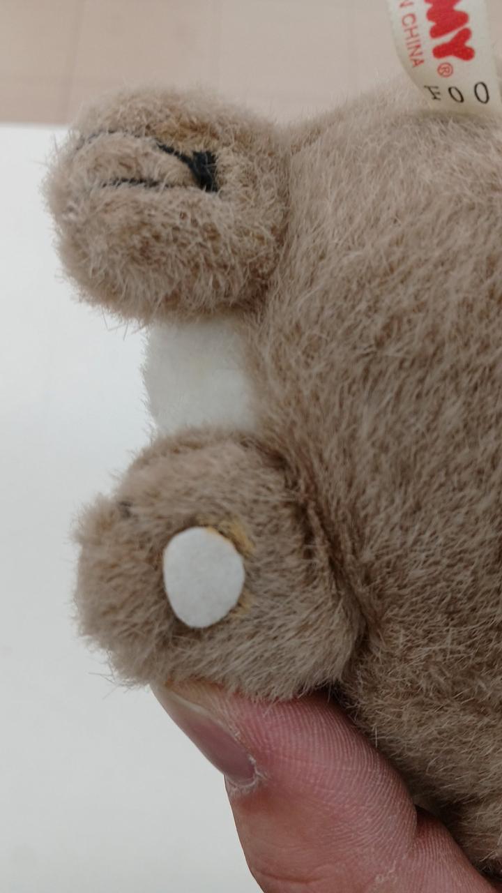 足の白い丸が片方取れています。