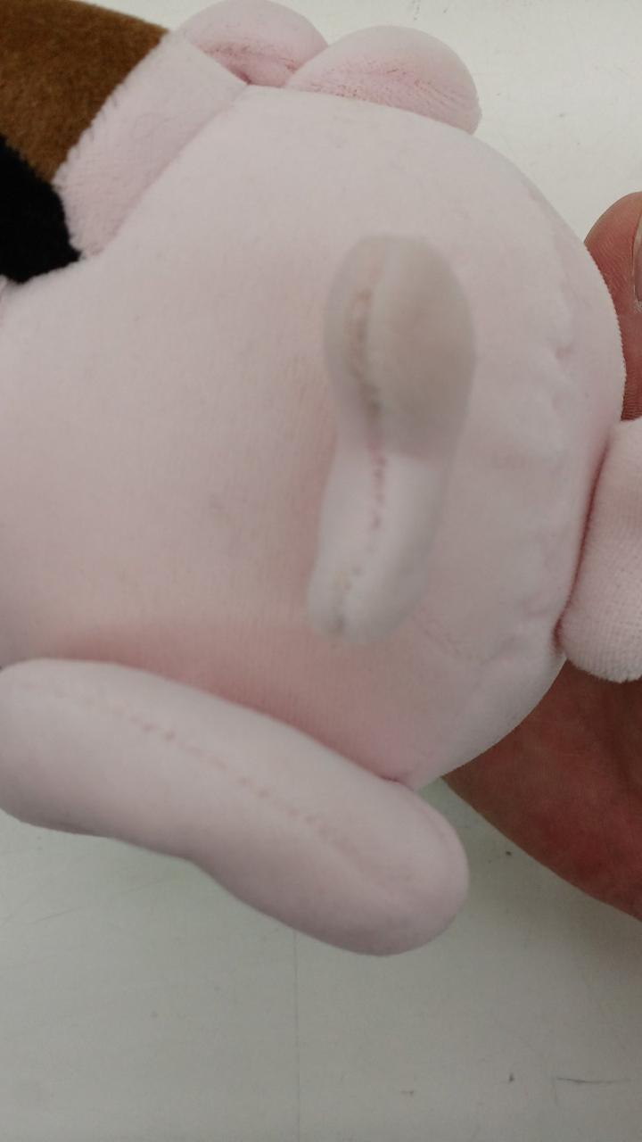 縫合の薄い所が何ヵ所かあります。