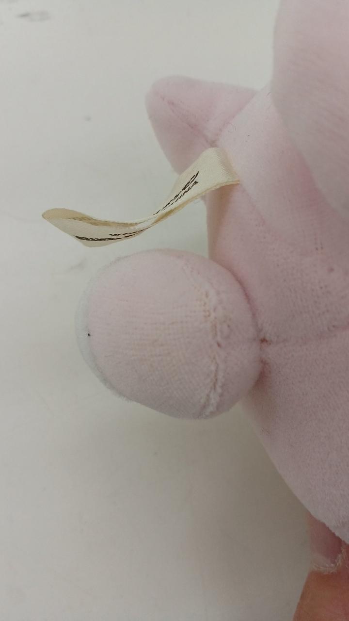 縫合の薄い所が何ヵ所かあります。
