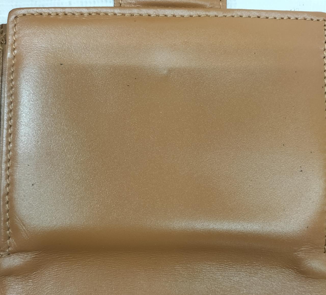 黒点汚れ多数あり