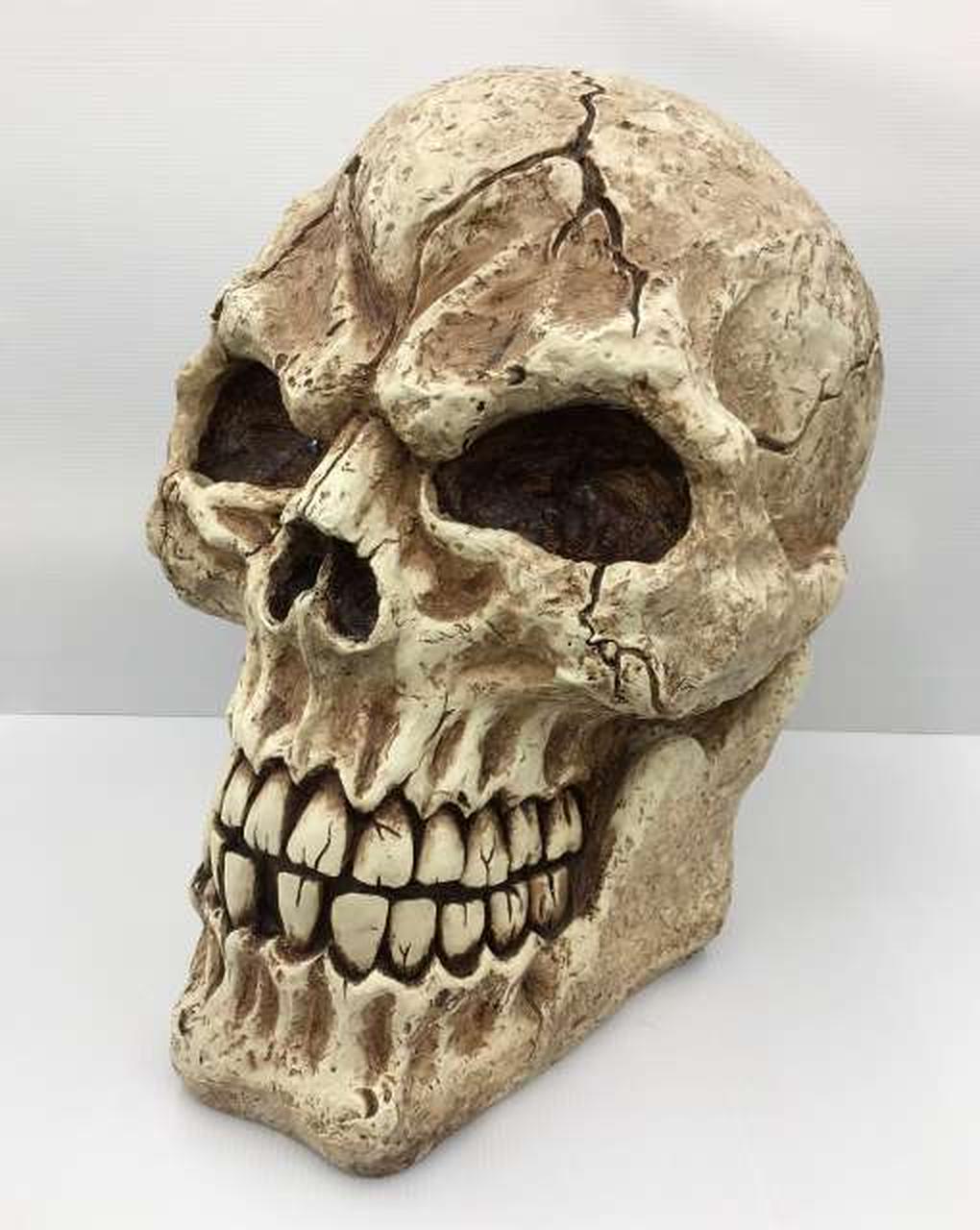 不明 ドクロオブジェ Hardoffオフモール