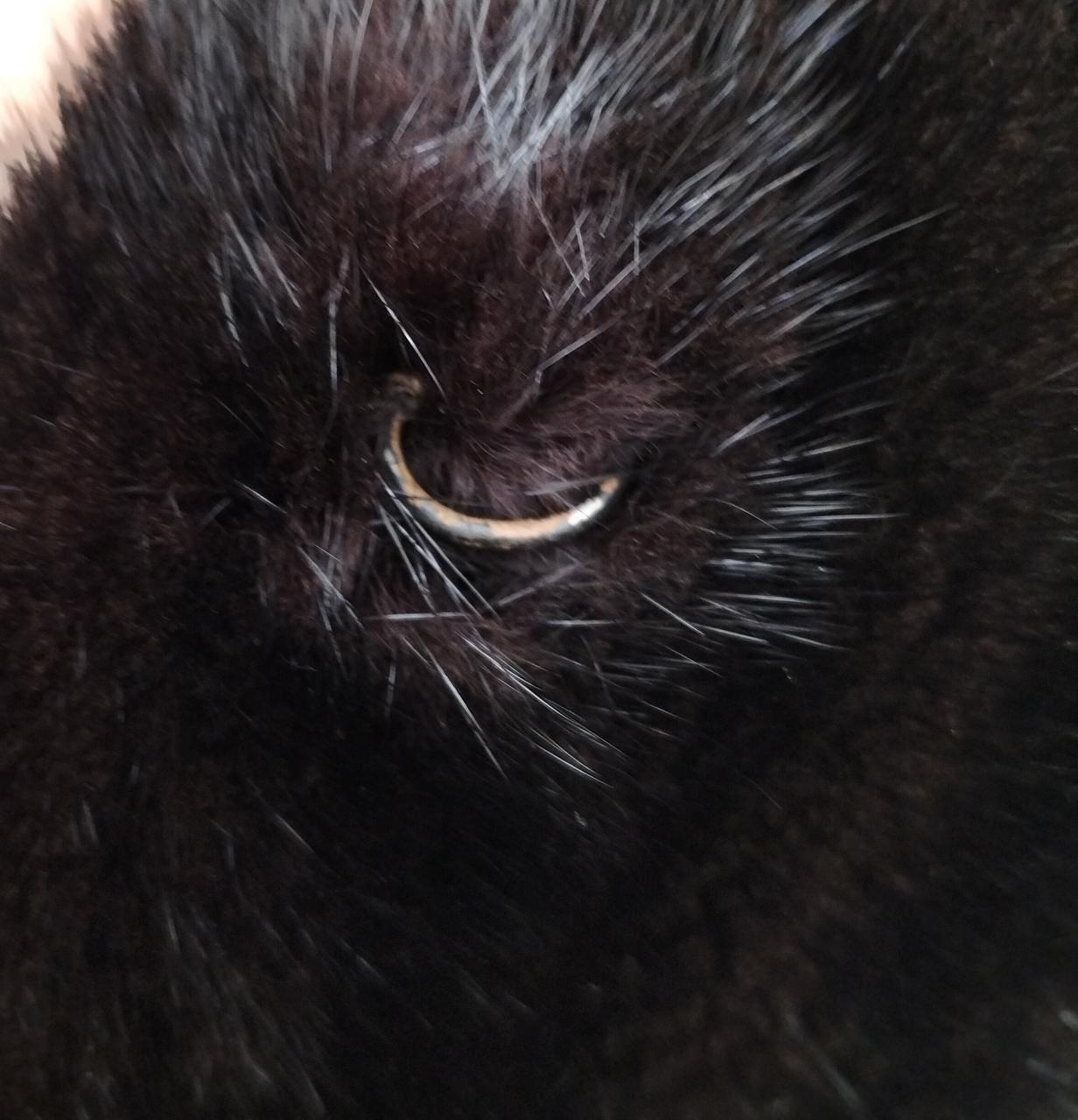 留め具にサビ有
※上から二番目