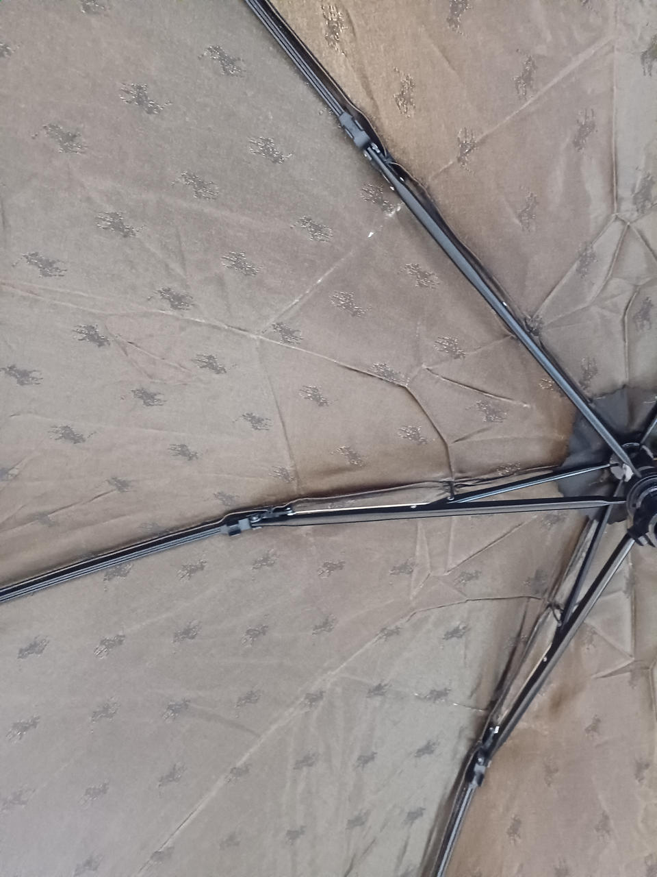 生地薄くなっています