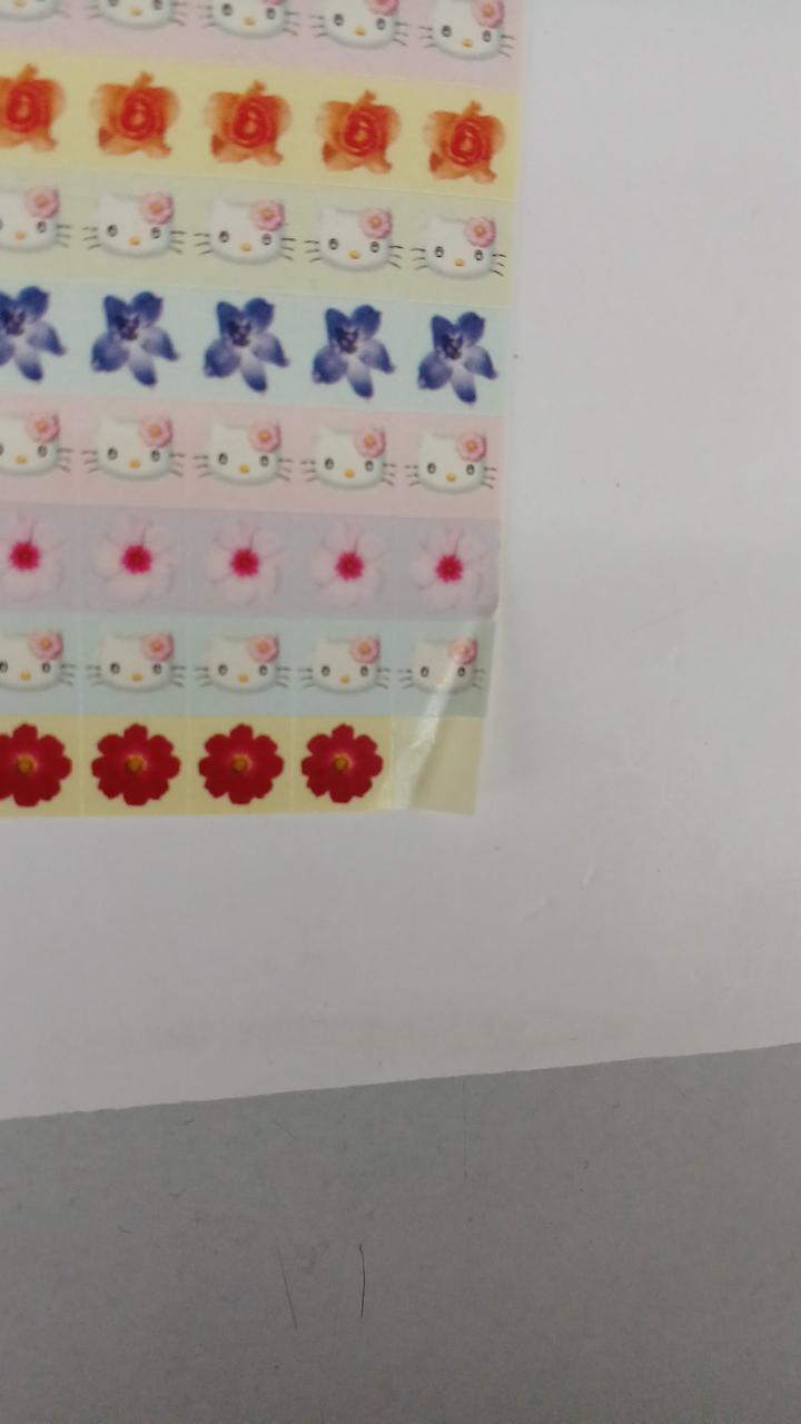 欠け、折れ有