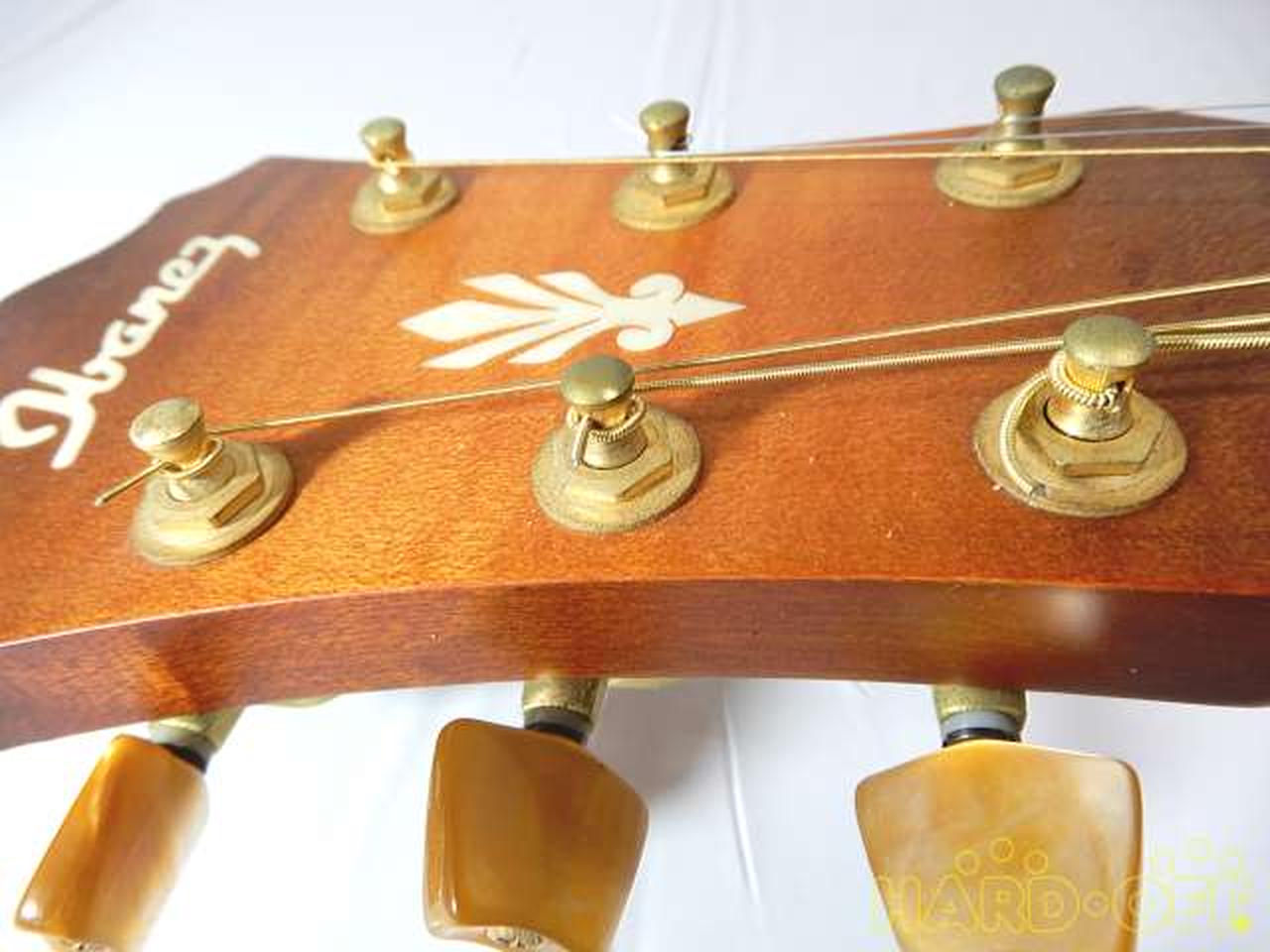 IBANEZ AEL42 SER LV1201 エレアコ ツリーオブライフ