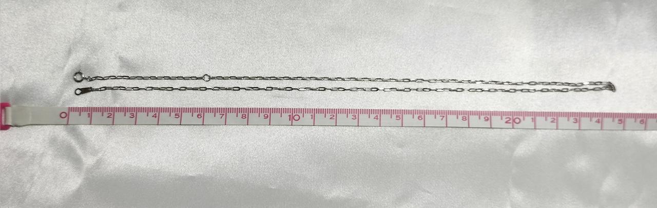 約50cm