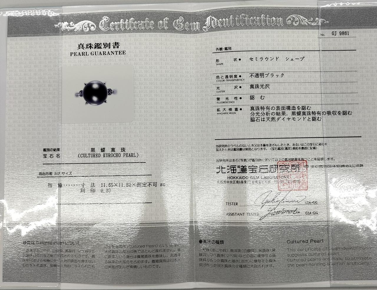 鑑別書付属しています