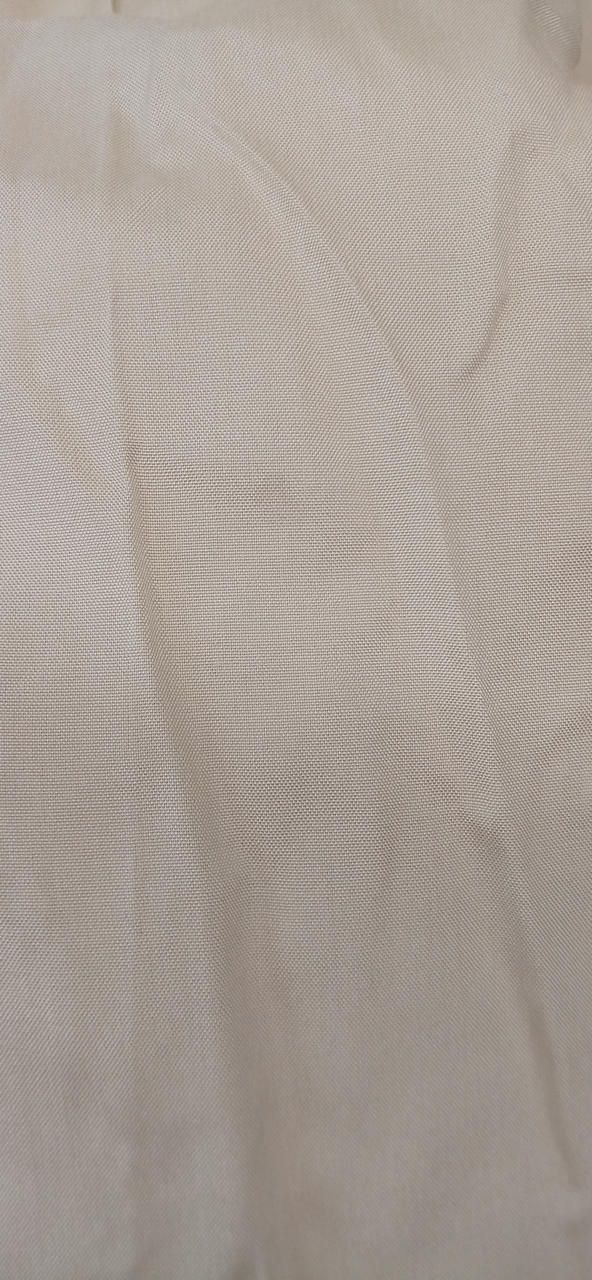 背面しみあり