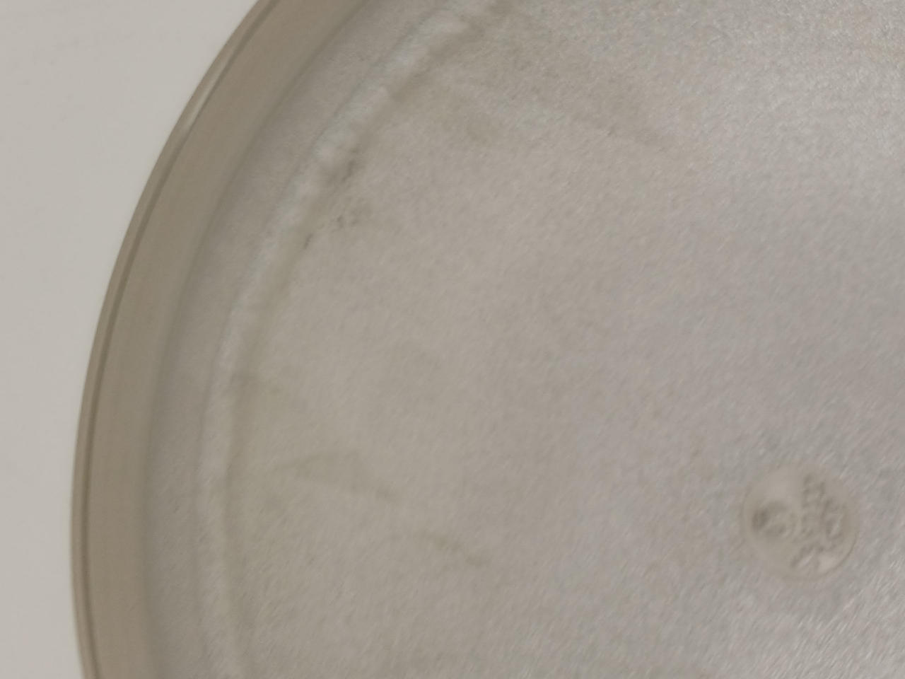 やや汚れ箇所あり