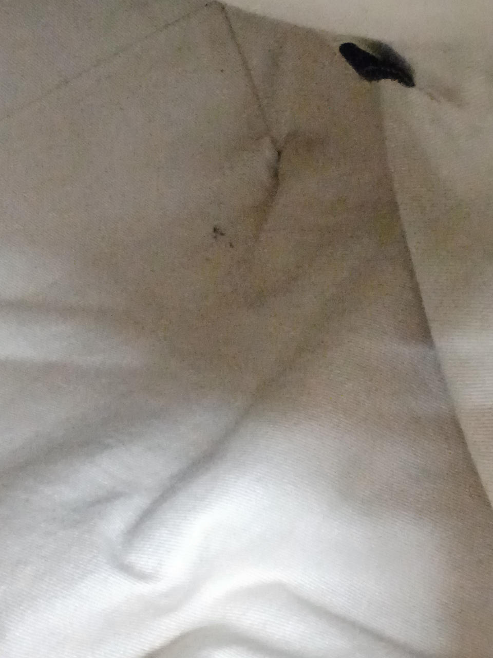 内側　黒汚れあり