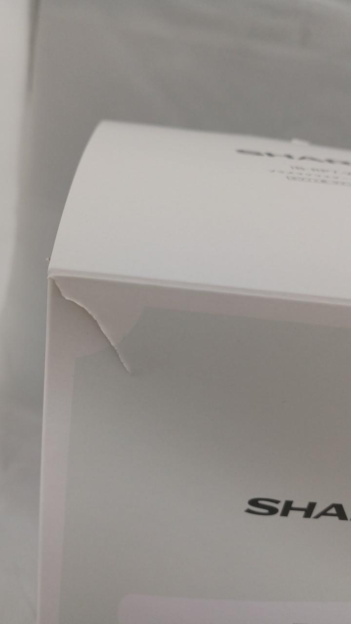 破けあり