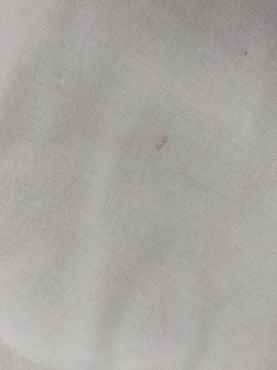 保護袋　汚れあり