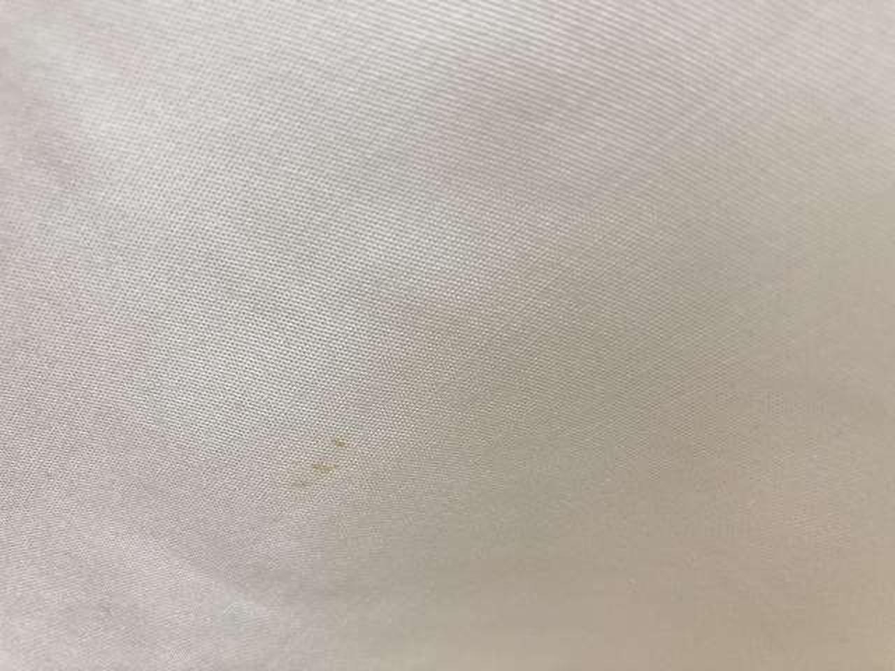 しみあり