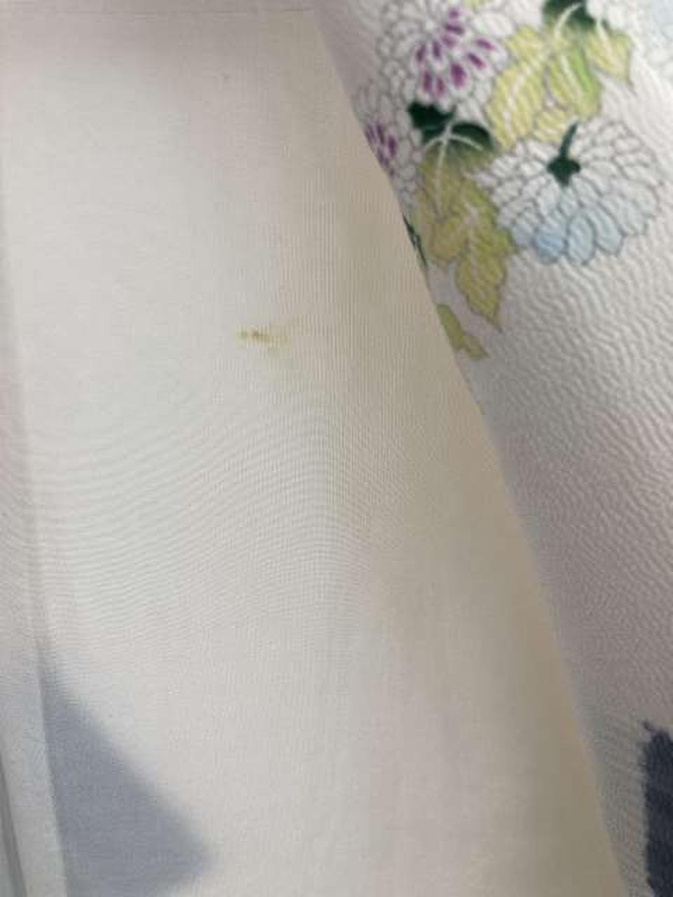 裏地背中辺りしみあり