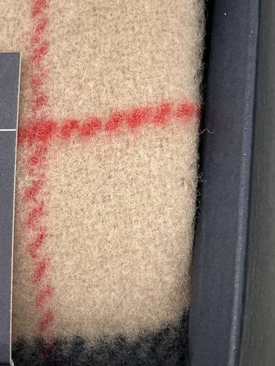 表側虫食いあり