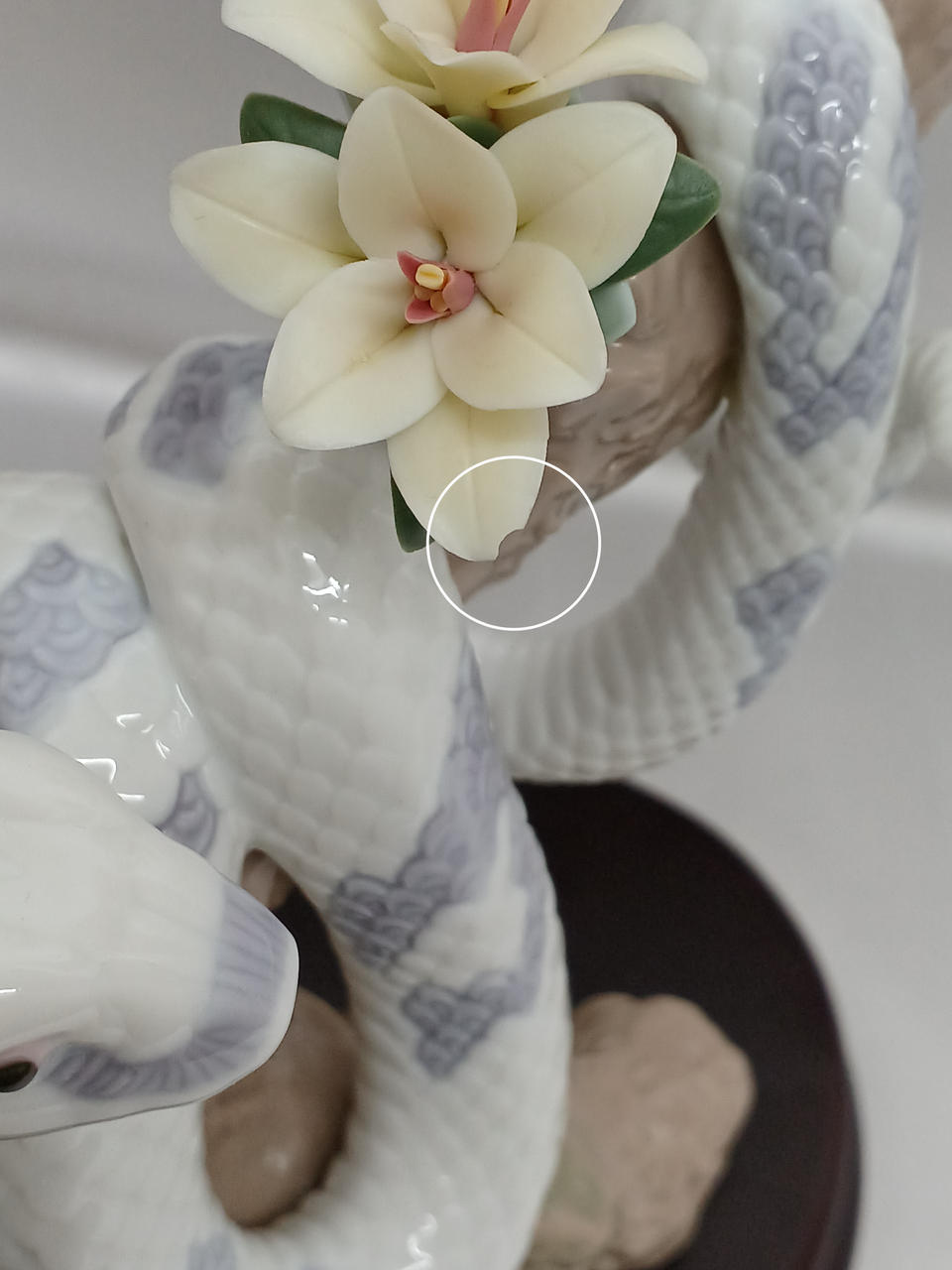 花びらに欠けあり