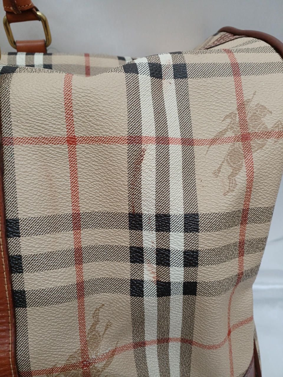 着色あり