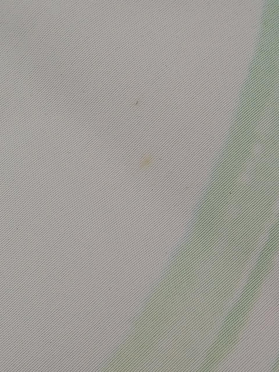 裏面一点シミあり